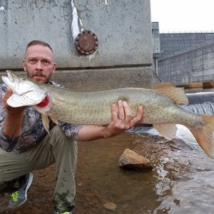 Meet your Posher, Joe